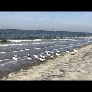 Meet your Posher, Tonya